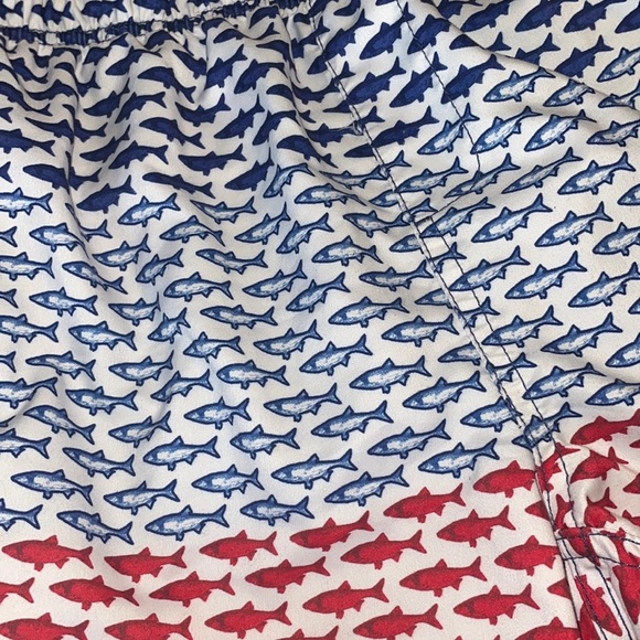 Fish Swim Trunks - Picture 3 of 3